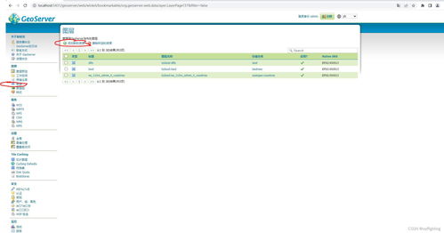 在GeoServer上發(fā)布WMS地圖服務(wù) 集成數(shù)據(jù)庫與計算機網(wǎng)絡(luò)服務(wù)