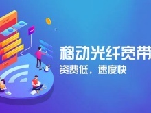 福州寬帶辦理全攻略 選擇、辦理與優(yōu)化網(wǎng)絡(luò)服務(wù)的實用指南